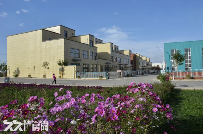 宁夏银川望远工业园区厂房出租、出售、大量土地出售，有产权，可按揭-图2