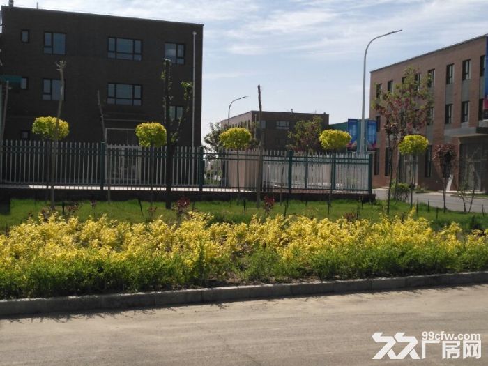 宁夏银川望远工业园区厂房出租、出售、大量土地出售，有产权，可按揭-图3